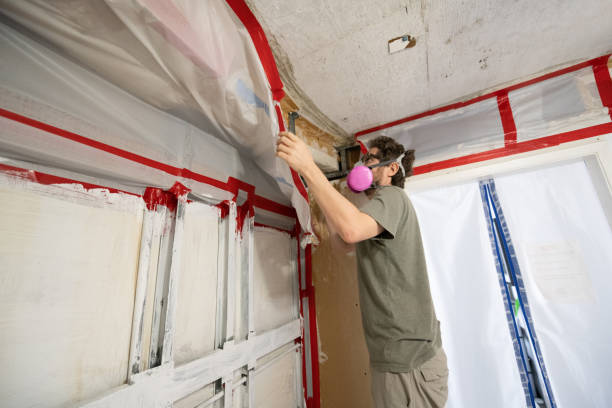 Best Mold Prevention Services  in Waterville, NY