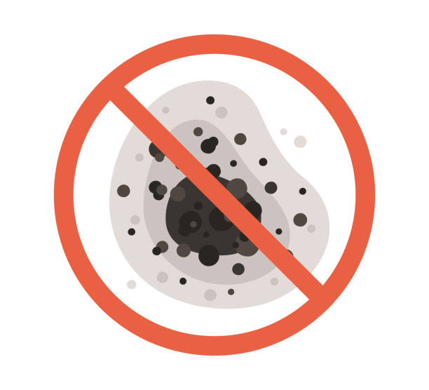 Best Mold-Related Health Consultation  in Waterville, NY